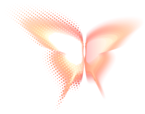 butterfly2